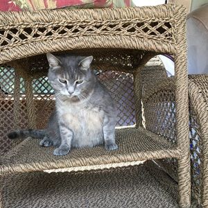 Meet your Posher, Lora